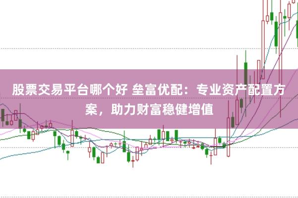 股票交易平台哪个好 垒富优配：专业资产配置方案，助力财富稳健增值