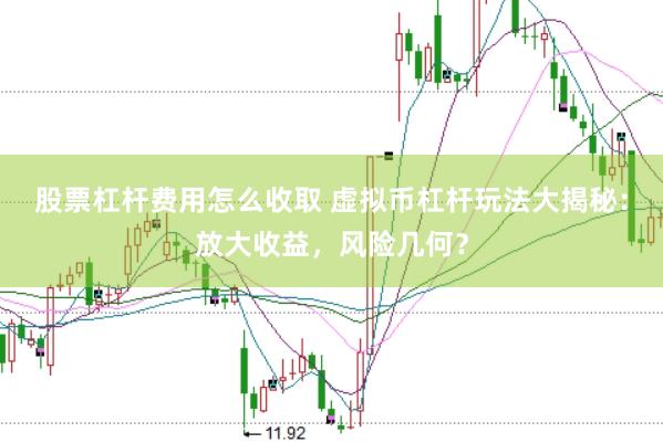 股票杠杆费用怎么收取 虚拟币杠杆玩法大揭秘：放大收益，风险几何？