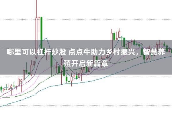 哪里可以杠杆炒股 点点牛助力乡村振兴，智慧养殖开启新篇章