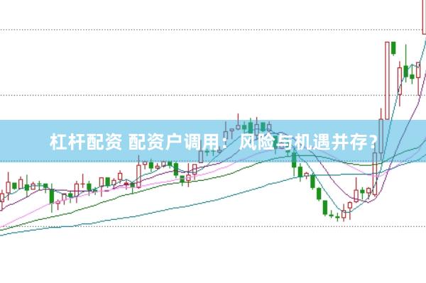 杠杆配资 配资户调用：风险与机遇并存？