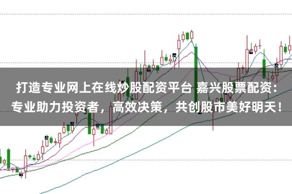 打造专业网上在线炒股配资平台 嘉兴股票配资：专业助力投资者，高效决策，共创股市美好明天！