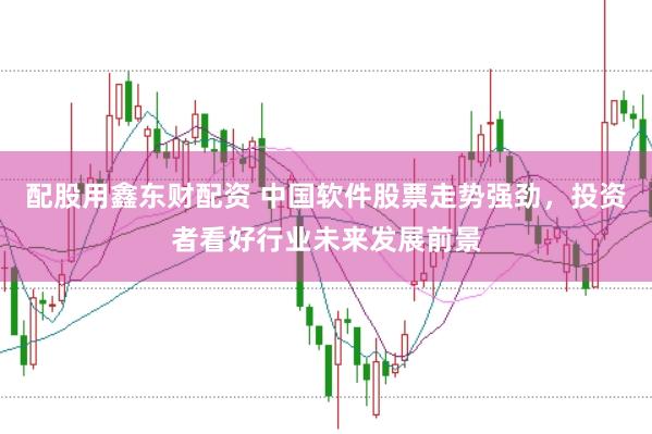 配股用鑫东财配资 中国软件股票走势强劲，投资者看好行业未来发展前景