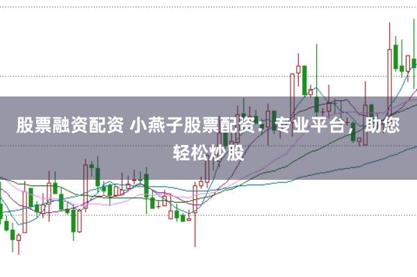 股票融资配资 小燕子股票配资：专业平台，助您轻松炒股