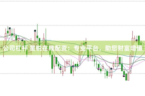 公司杠杆 星锐在线配资：专业平台，助您财富增值