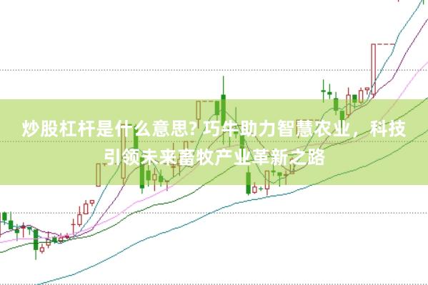 炒股杠杆是什么意思? 巧牛助力智慧农业，科技引领未来畜牧产业革新之路