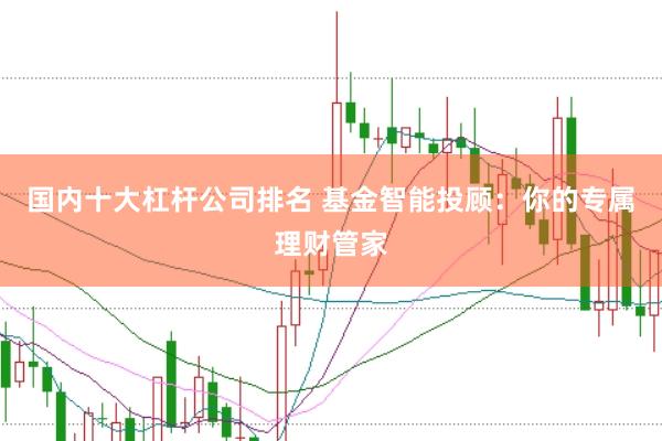 国内十大杠杆公司排名 基金智能投顾：你的专属理财管家