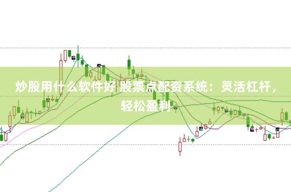 炒股用什么软件好 股票点配资系统：灵活杠杆，轻松盈利