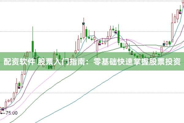 配资软件 股票入门指南：零基础快速掌握股票投资