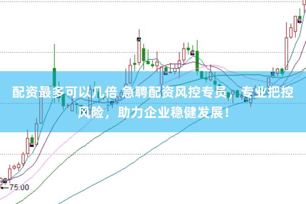 配资最多可以几倍 急聘配资风控专员，专业把控风险，助力企业稳健发展！