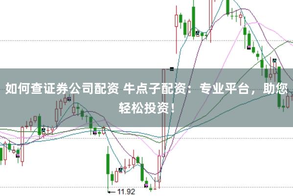 如何查证券公司配资 牛点子配资：专业平台，助您轻松投资！