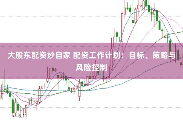 大股东配资炒自家 配资工作计划：目标、策略与风险控制