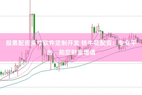 股票配资头寸软件定制开发 钱牛花配资：专业平台，助您财富增值