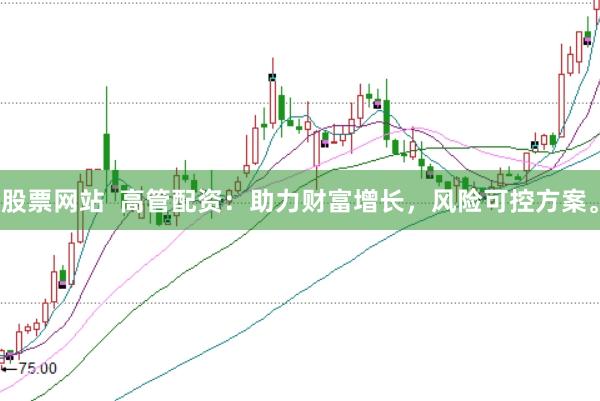 股票网站  高管配资：助力财富增长，风险可控方案。