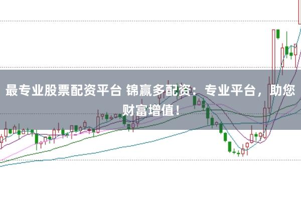 最专业股票配资平台 锦赢多配资：专业平台，助您财富增值！