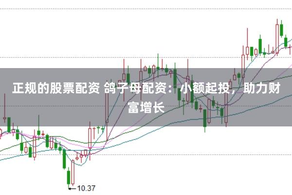 正规的股票配资 鸽子母配资：小额起投，助力财富增长