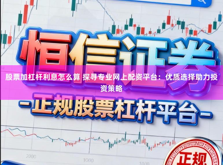 股票加杠杆利息怎么算 探寻专业网上配资平台:优质选择助力投资策略