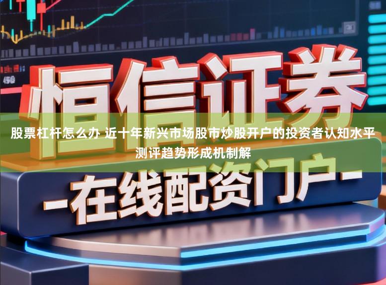 股票杠杆怎么办 近十年新兴市场股市炒股开户的投资者认知水平测评趋势形成机制解