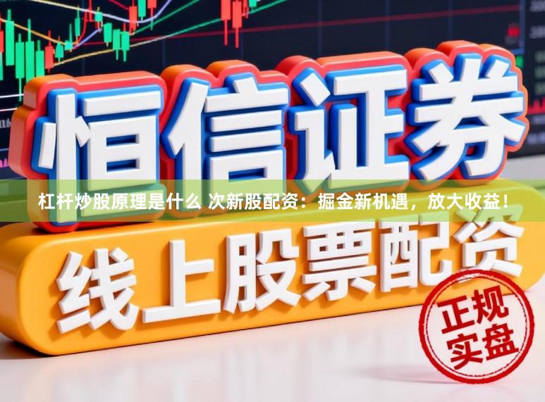 杠杆炒股原理是什么 次新股配资：掘金新机遇，放大收益！